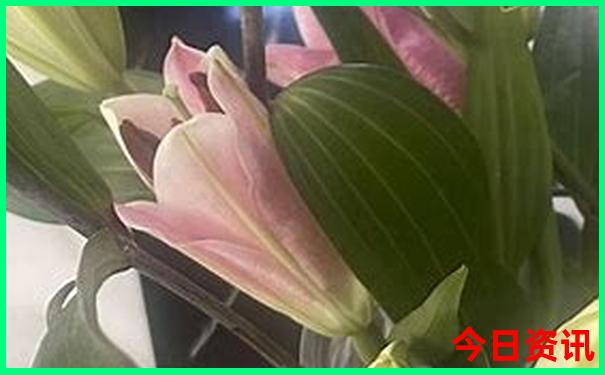 江苏省十大必去景点