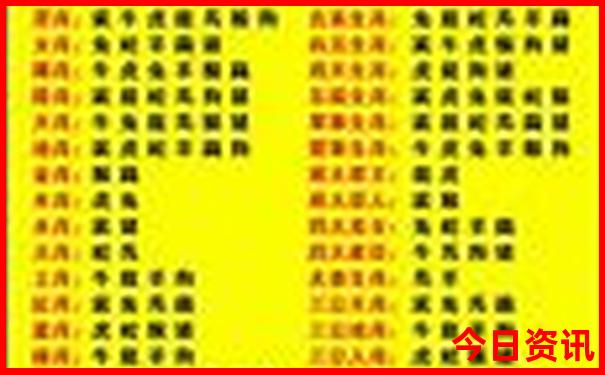 城市风景夏日景色