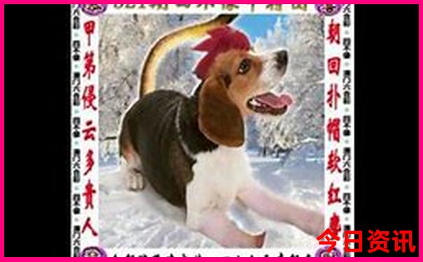湖南长沙旅游景区
